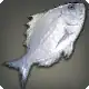 Platinum Bream icon