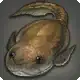Bothriolepis icon