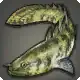 Voeburt Bichir icon
