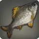 Laxan Carp icon