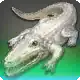 Sweetheart icon
