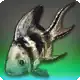 Leannisg icon