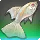 Moonlight Guppy icon