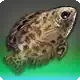 Sunken Tome icon