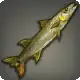 Bicuda icon