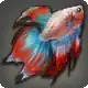 Half-moon Betta icon