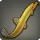 Albino Loach icon