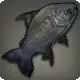 Colossoma icon