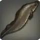 Aoide icon