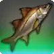 Jumbo Snook icon