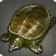 Mayashell icon