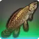 Swampsucker Bowfin icon