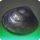 Crowshadow Mussel icon