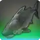 Fishy Shark icon