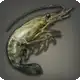 Singular Shrimp icon