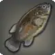 First Feastfish icon