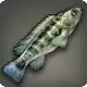 Crenicichla icon