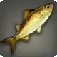Corn Dace icon