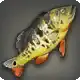 Yellow Peacock Bass icon