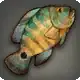 Xd'aa Talat Cichlid icon