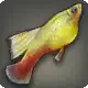 Variatus icon