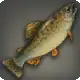 Niikwerepi Trout icon