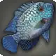 Pyariyoanaan Cichlid icon