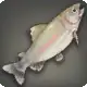 Trailtrout icon