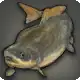 Toari Sucker icon