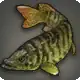 Tiger Muskellunge icon