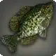 Moon Croppie icon