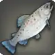 Driftdowns Trout icon