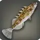 Stickleback icon