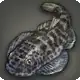 Mosaic Loach icon