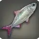 Variegated Sisterscale icon