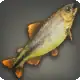 Piraputanga icon