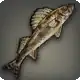 Sauger icon