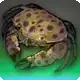 Cazuela Crab icon