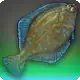 Thunderous Flounder icon