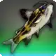Harlequin Queen icon