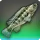 Crenicichla Miyaka icon
