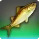 Shuckfin Dace icon