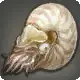 Nautilus icon