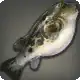 Letter Puffer icon