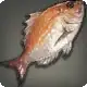 Hook Fish icon
