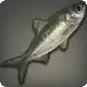 Ruby Herring icon