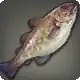 Shallows Cod icon