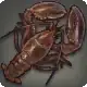 Agama's Palm icon
