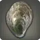 Cenote Oyster icon