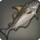 Ruby Haddock icon